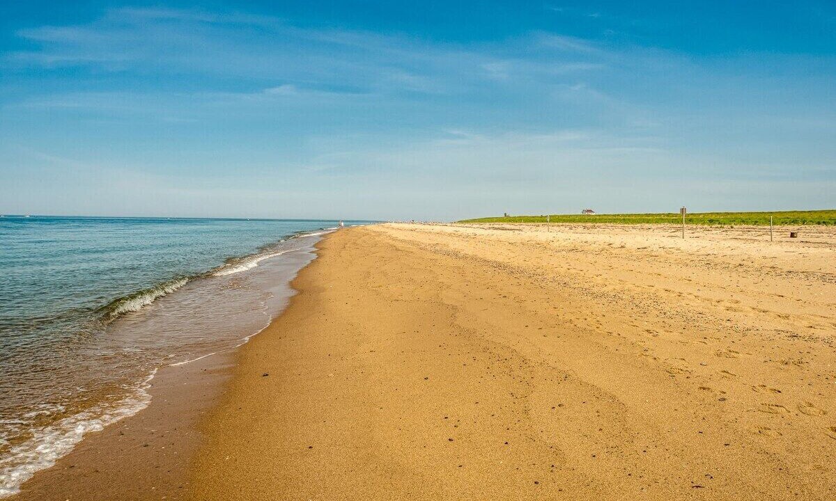 Photo of Others in North Eastham