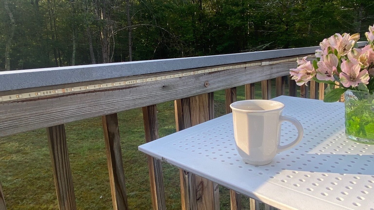 Photo of Outdoor in Saugerties