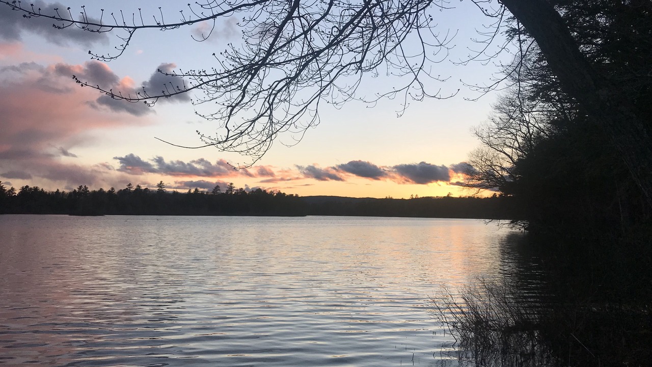 Photo of Others in Lincolnville