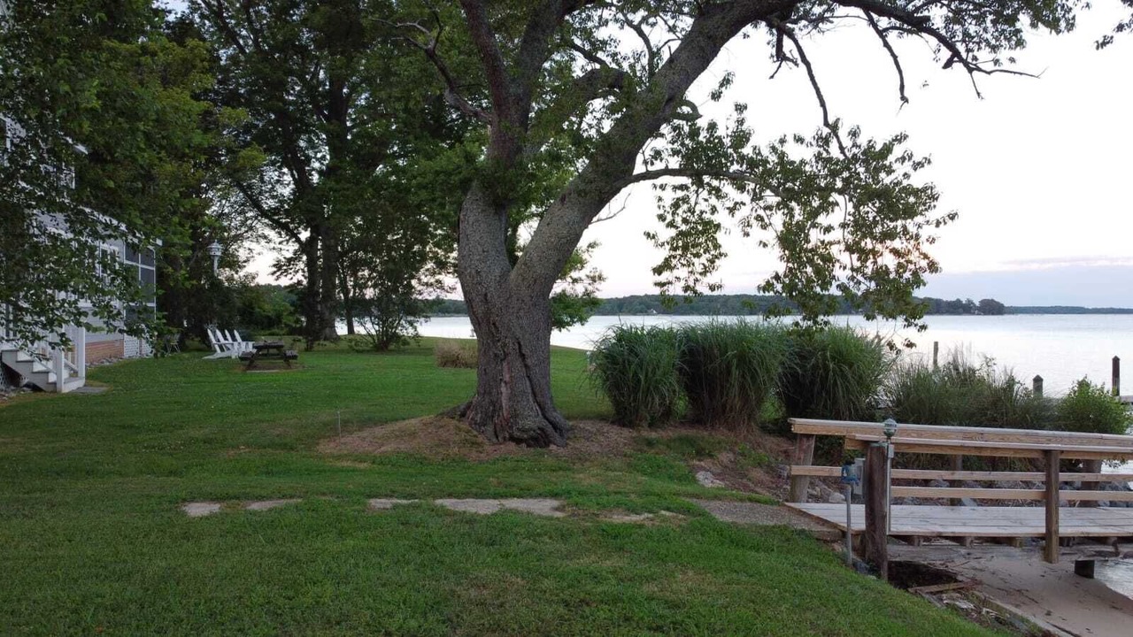 Photo of Outdoor in Royal Oak
