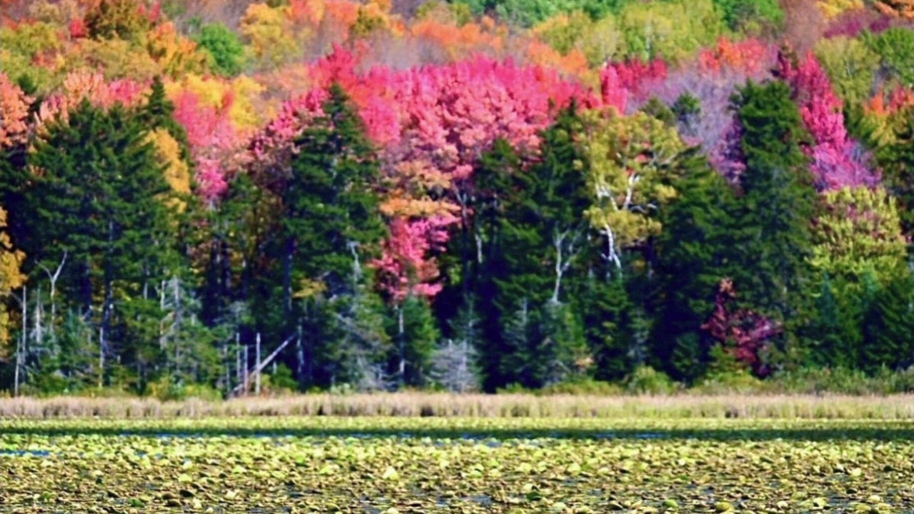 Photo of Outdoor in Mount Holly