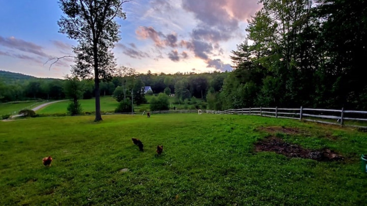 Photo of Outdoor in Guild