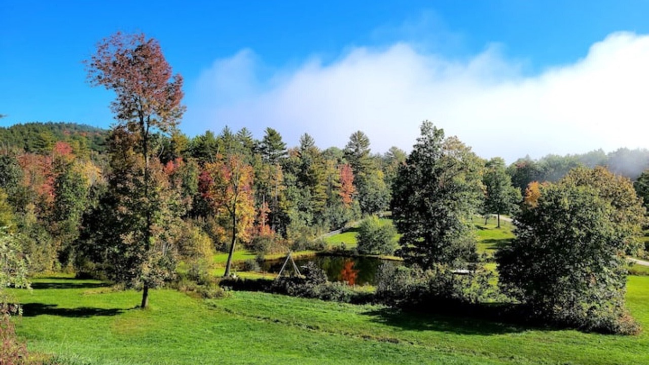 Photo of Outdoor in Guild