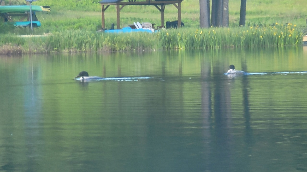Photo of Outdoor in Stewartstown