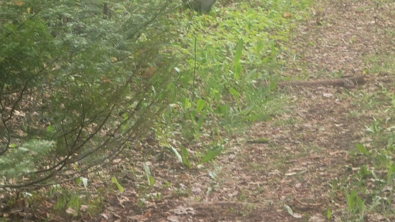 Photo of Others in Stewartstown