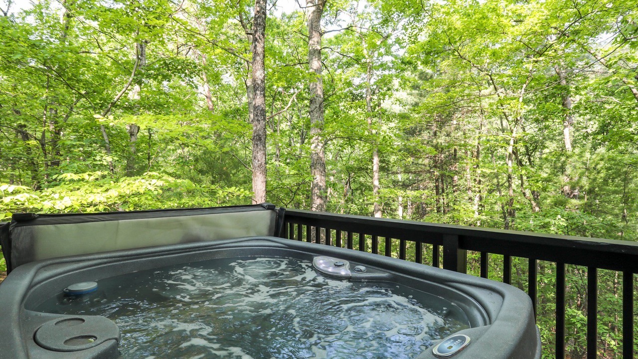 Photo of Outdoor in The Woods
