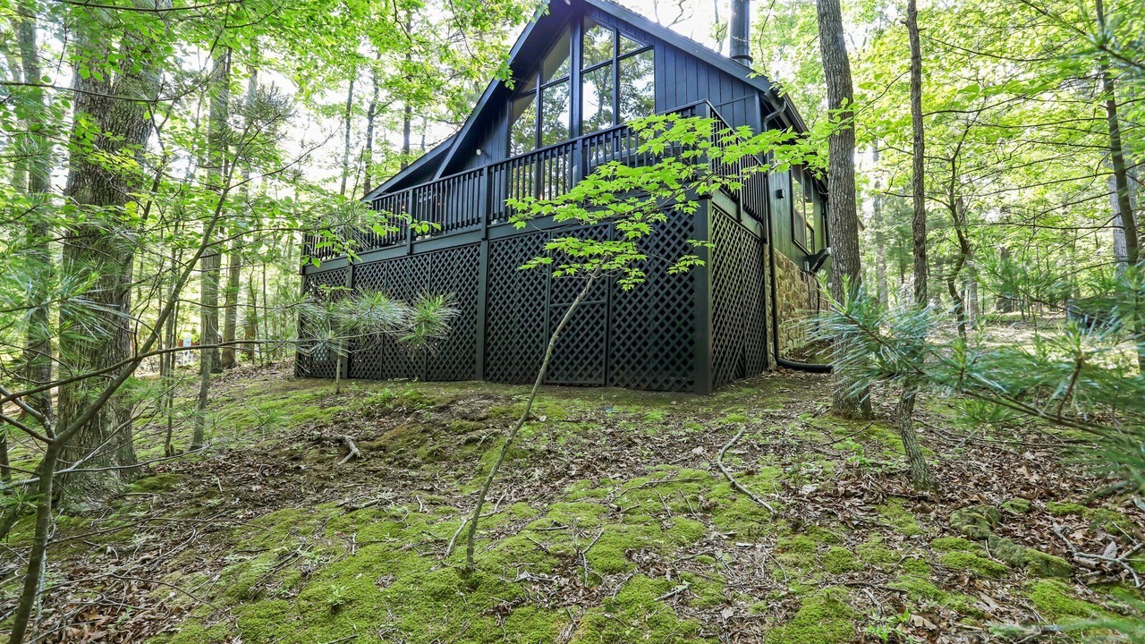 Photo of Outdoor in The Woods