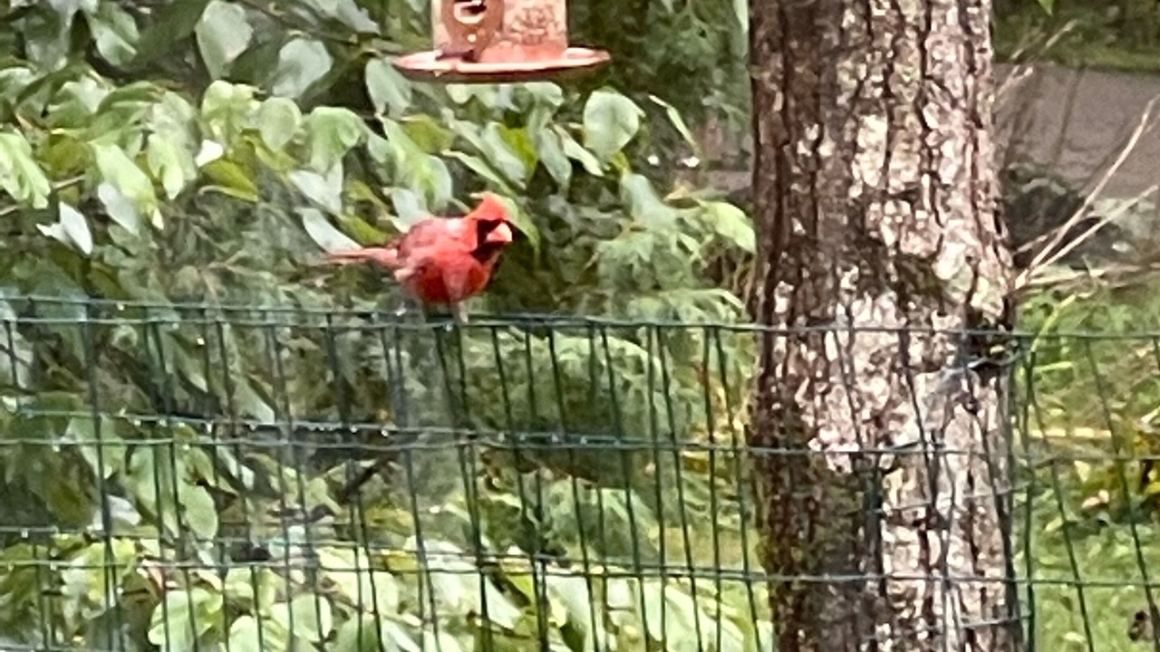 Photo of Outdoor in Salisbury