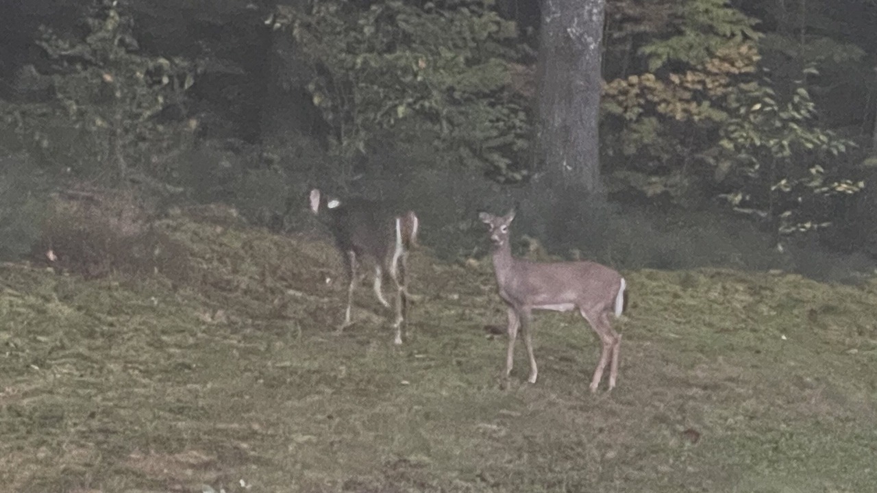 Photo of Others in Salisbury