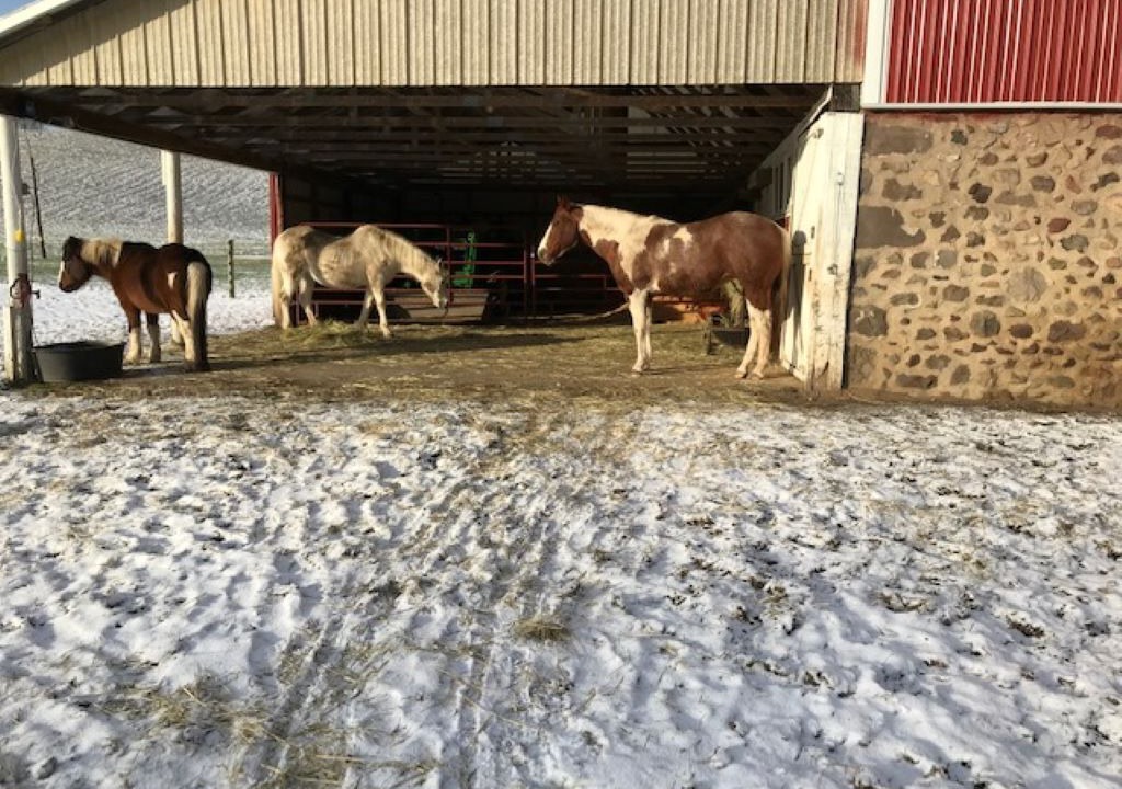 Photo of Outdoor in Sodus