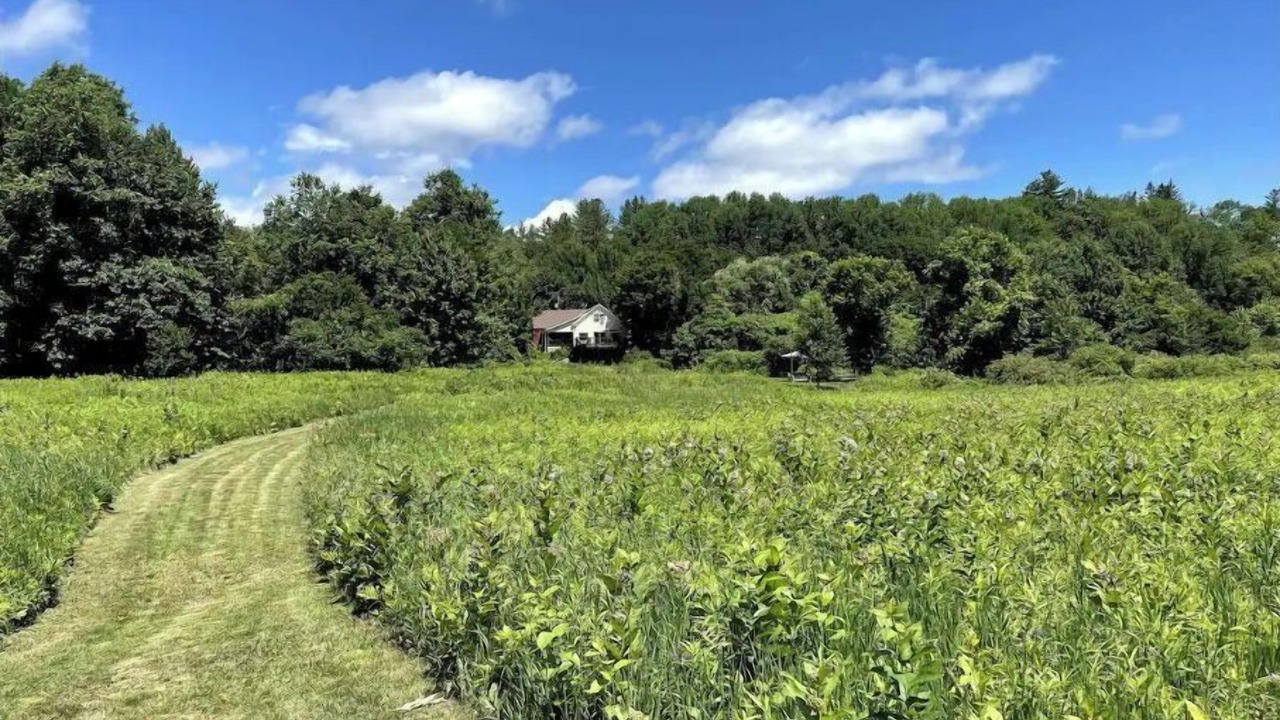 Photo of Outdoor in Cavendish