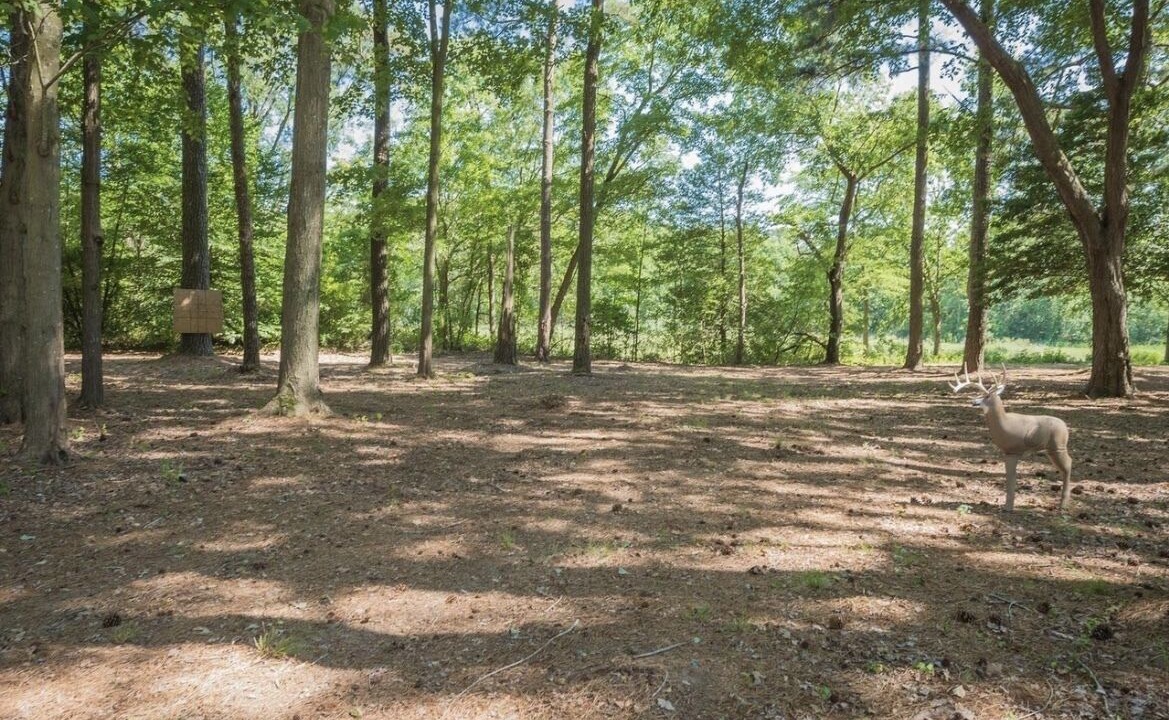 Photo of Outdoor in Marion Station