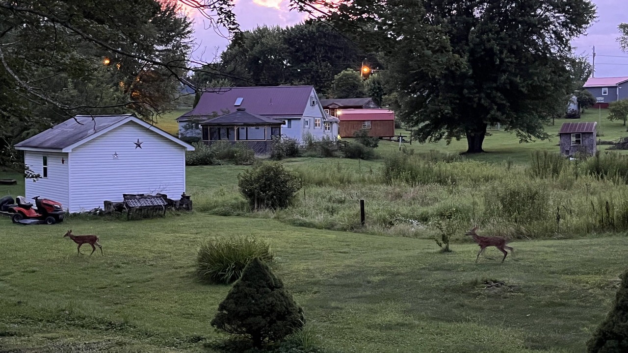Photo of Outdoor in Fayetteville