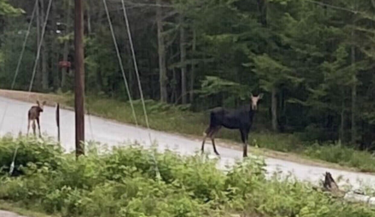 Photo of Others in Jackson