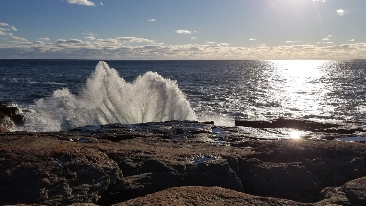 Photo of Others in Bass Harbor