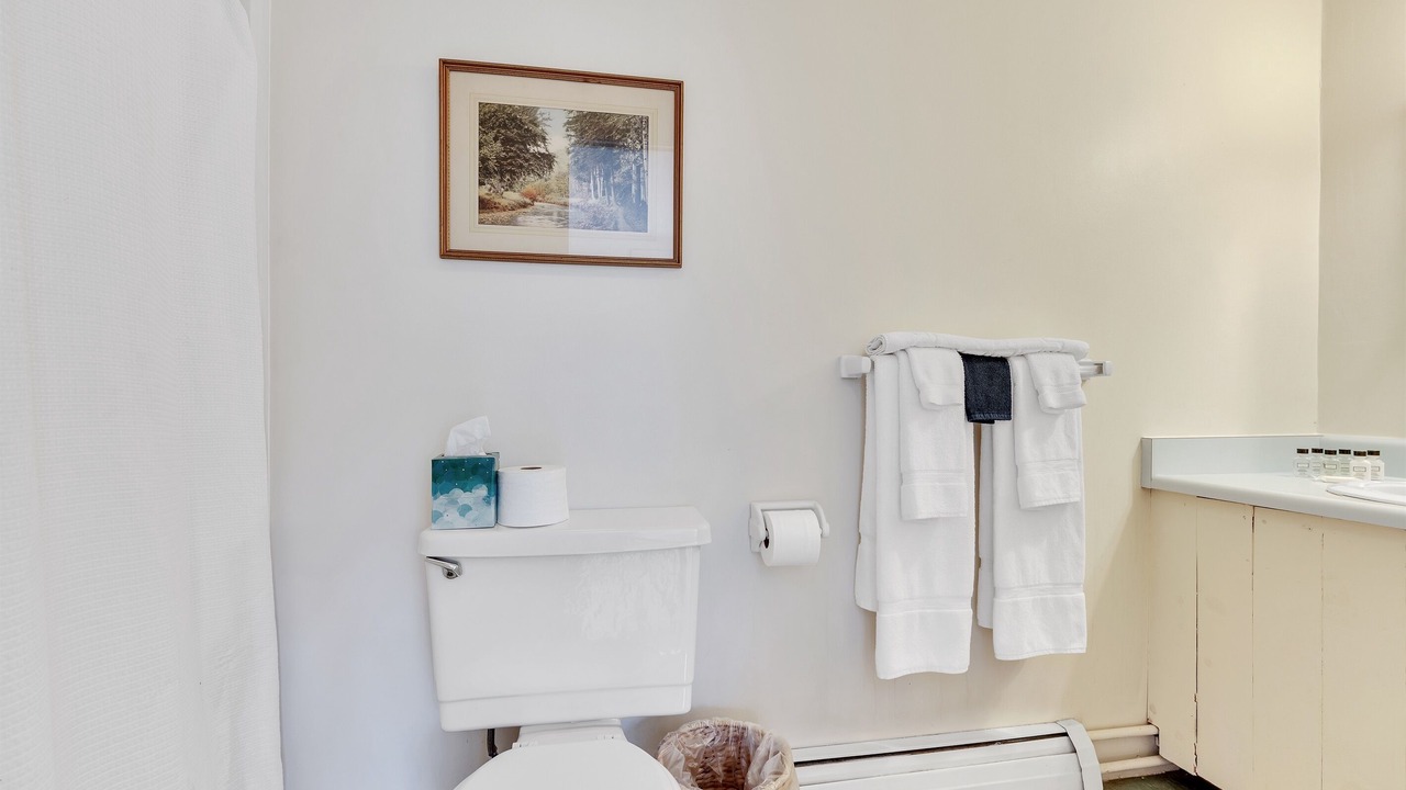 Photo of Bathroom in Mendon