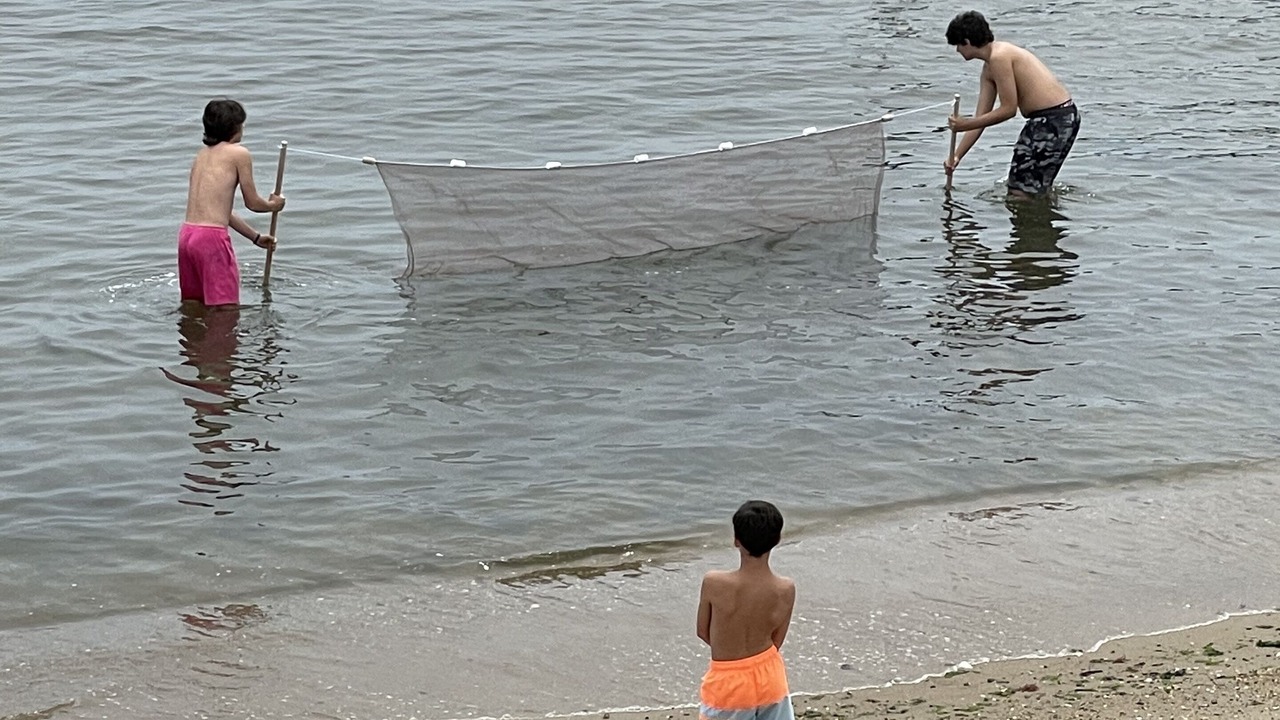 Photo of Others in Old Saybrook