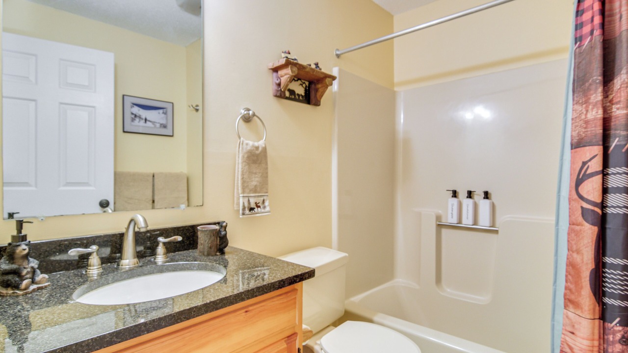 Photo of Bathroom in Bartlett