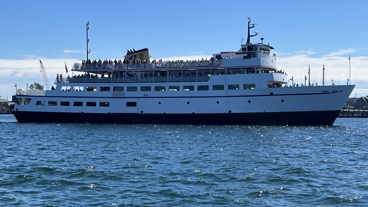 Photo of Others in Snug Harbor