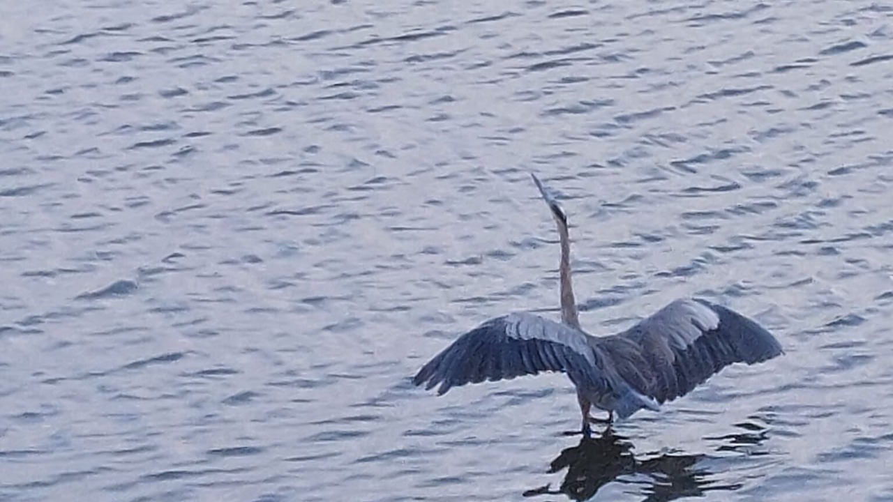 Photo of Outdoor in Snug Harbor