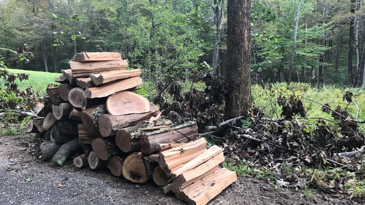 Photo of Outdoor in Williamstown