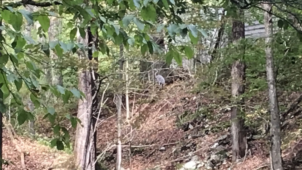 Photo of Outdoor in Williamstown