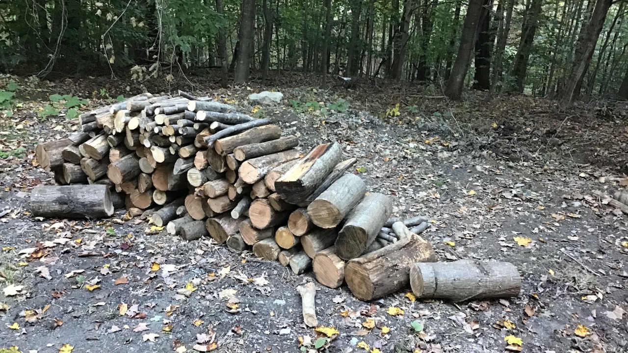 Photo of Outdoor in Williamstown