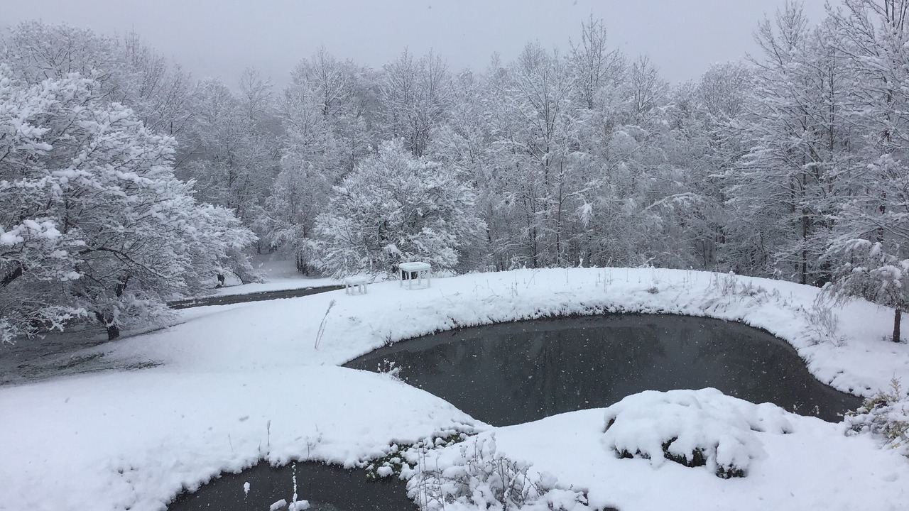 Photo of Outdoor in Williamstown