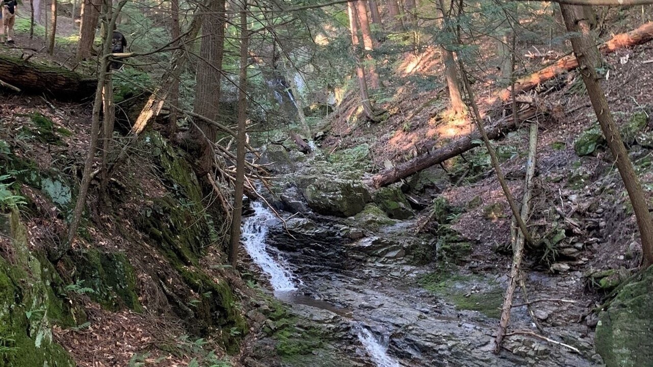 Photo of Outdoor in Chittenden County