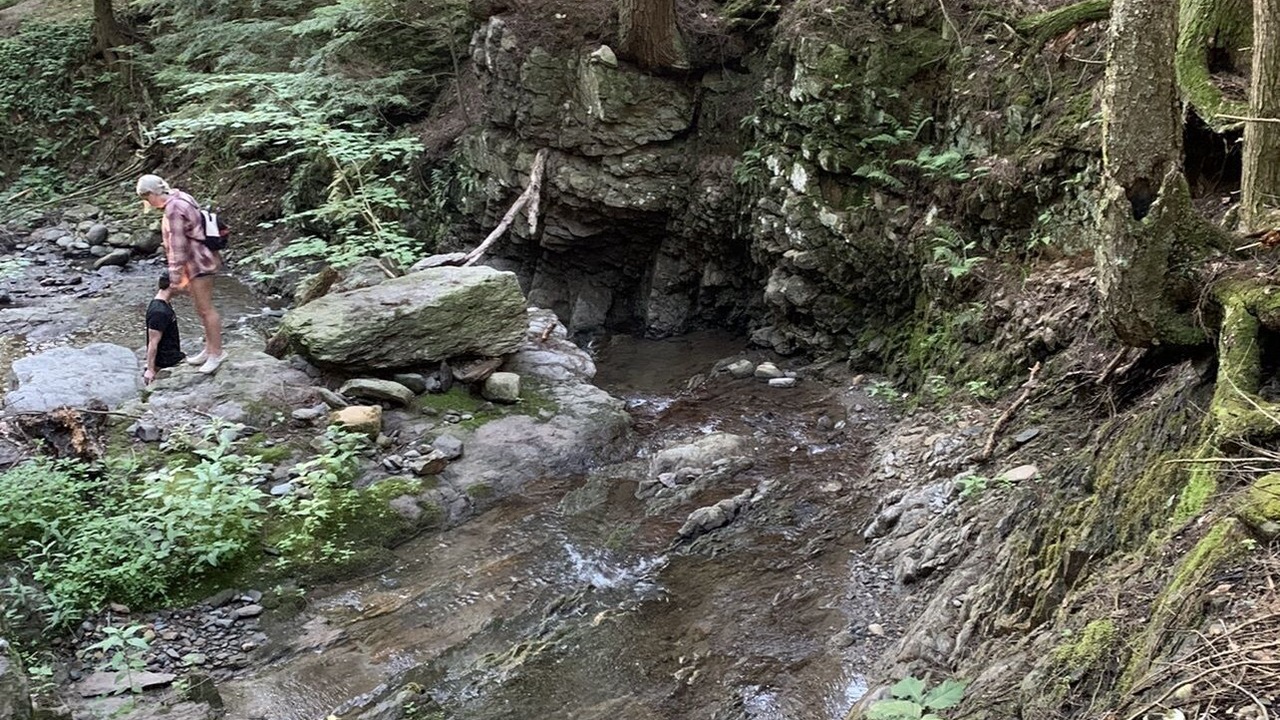 Photo of Others in Chittenden County