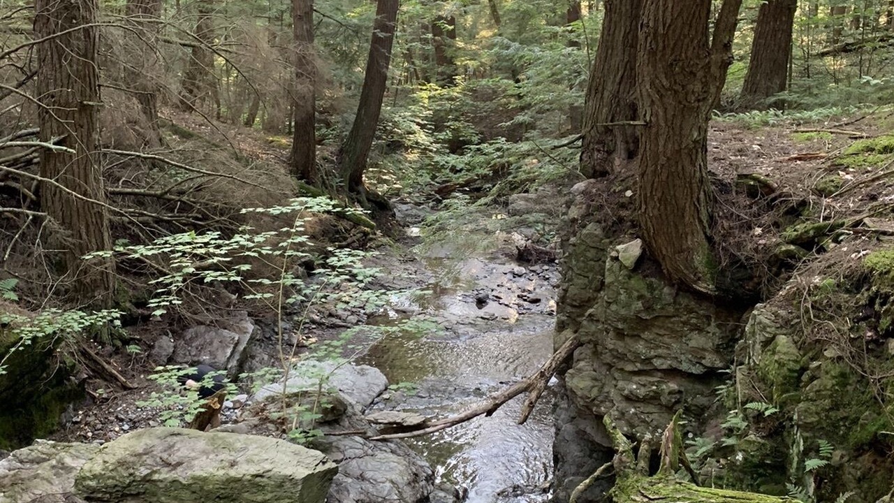 Photo of Outdoor in Chittenden County