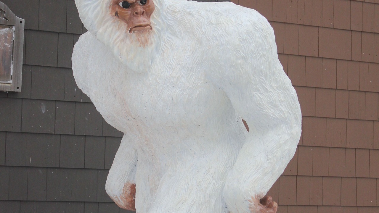 Photo of Outdoor in Snowshoe