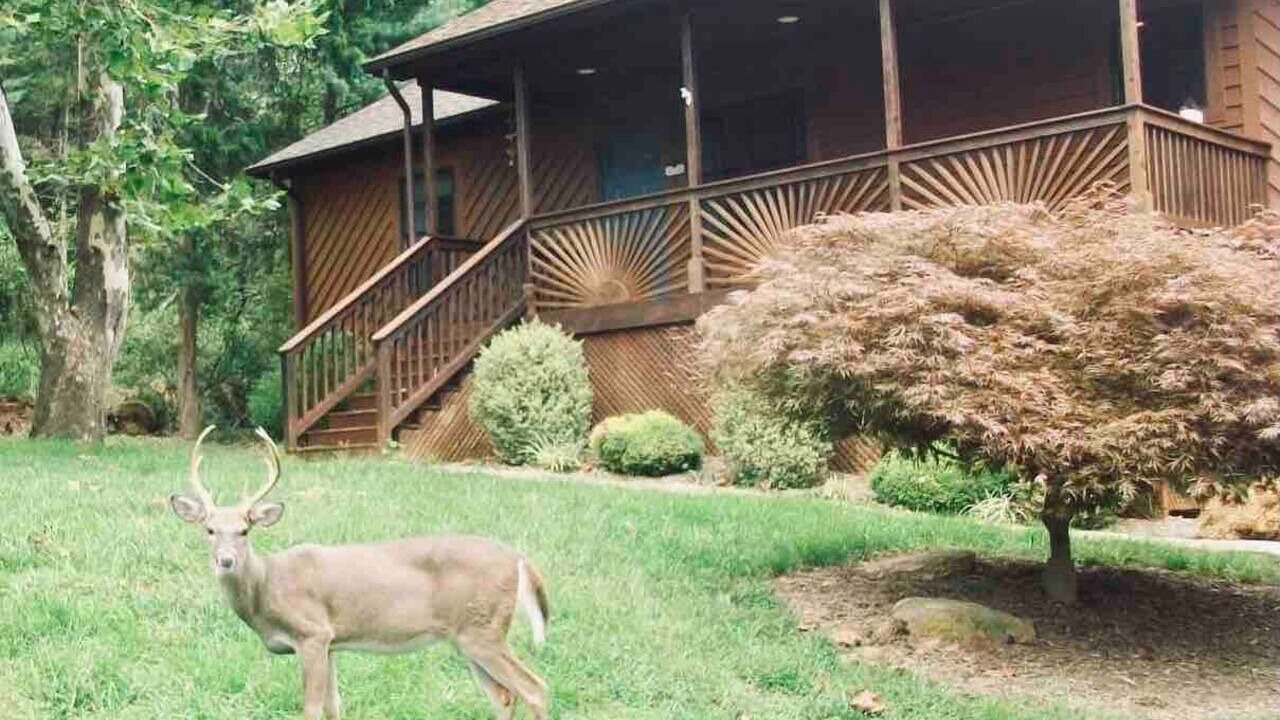 Photo of Others in Massanutten
