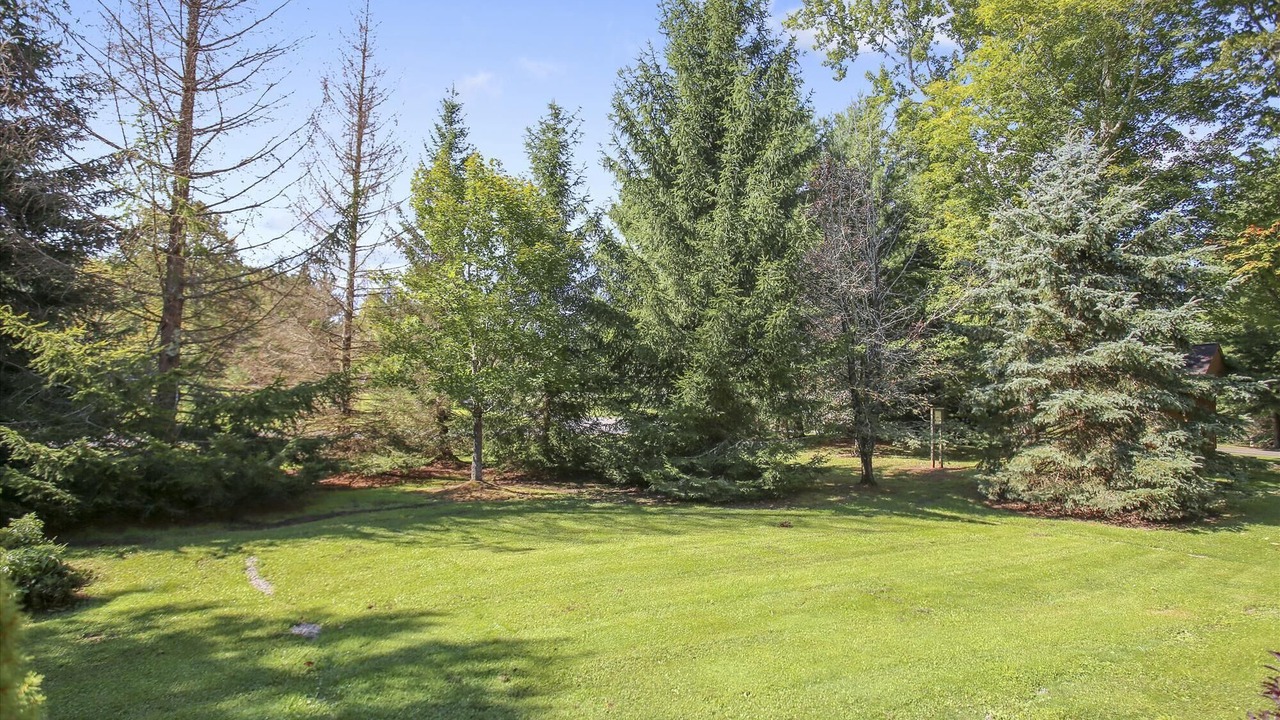 Photo of Outdoor in Davis