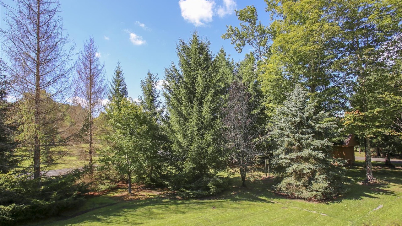 Photo of Outdoor in Davis