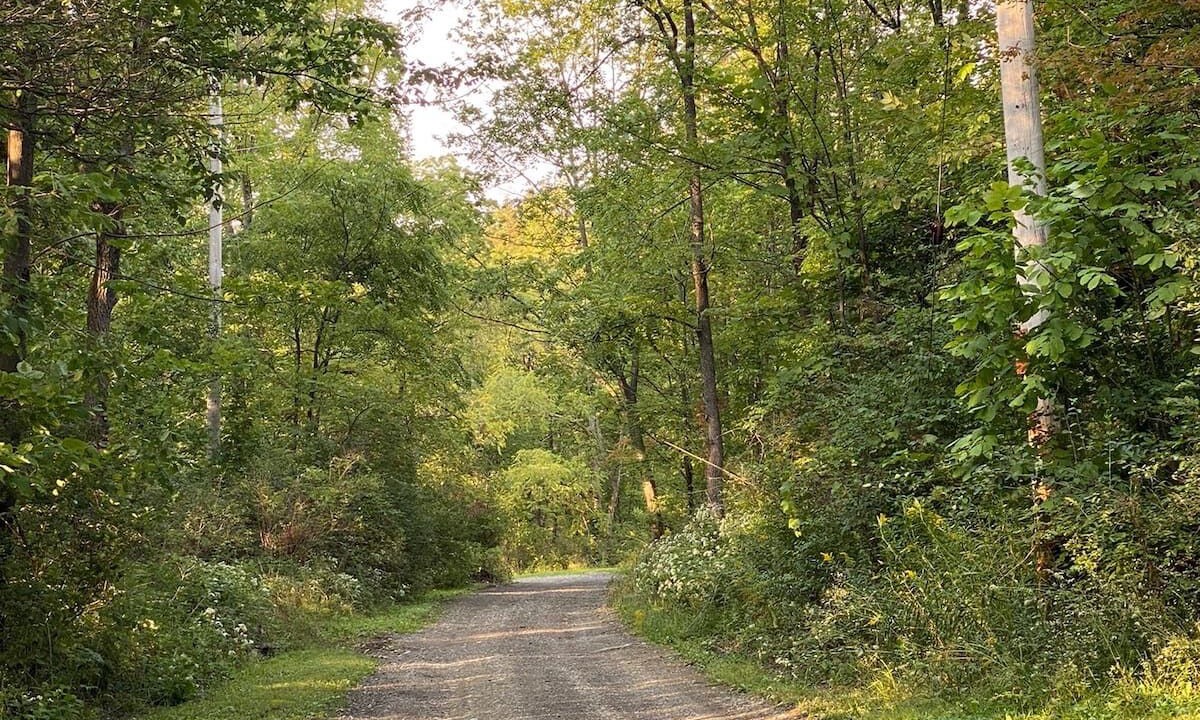 Photo of Outdoor in Honeoye