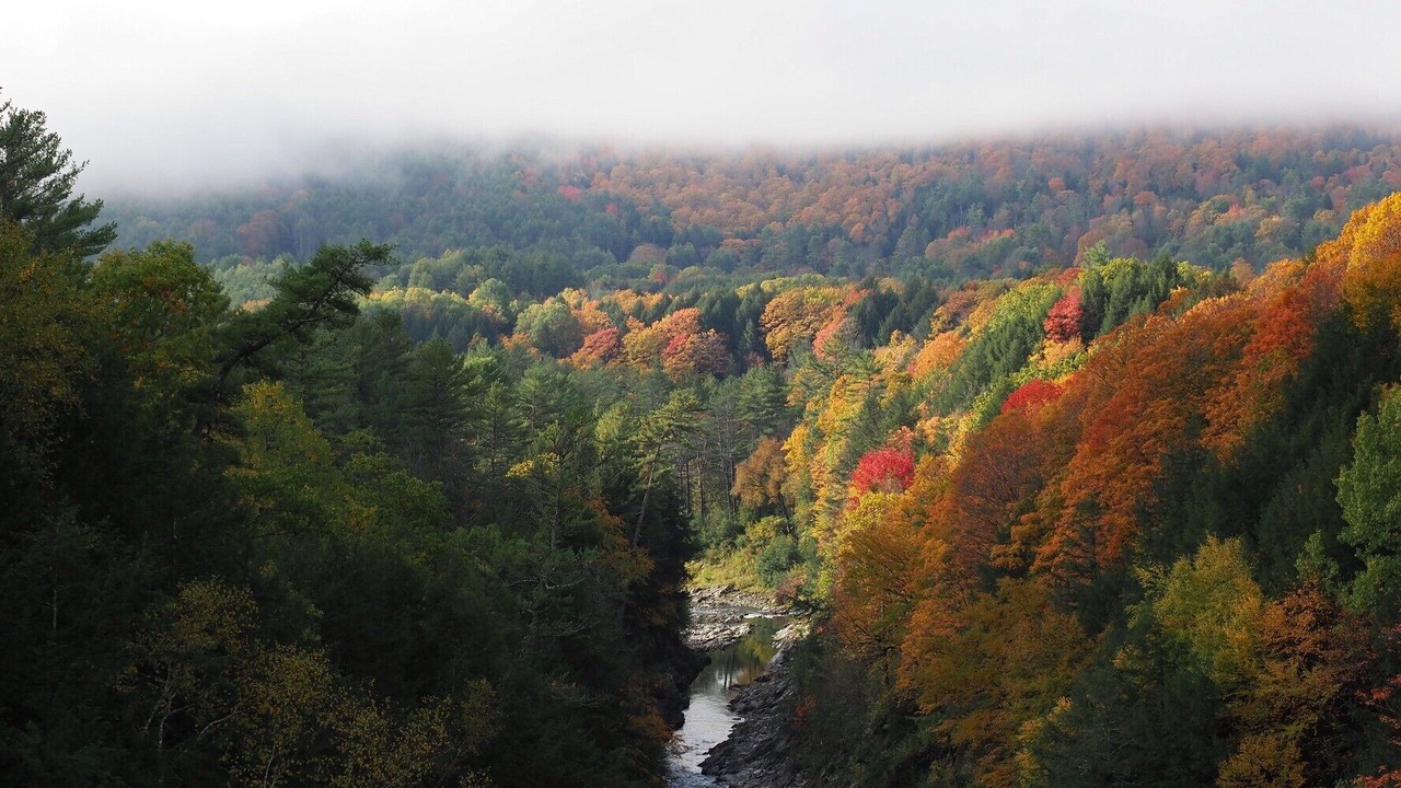 Photo of Others in Mendon