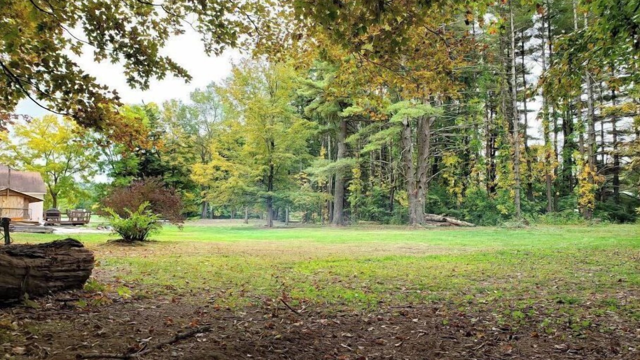 Photo of Outdoor in Sheffield