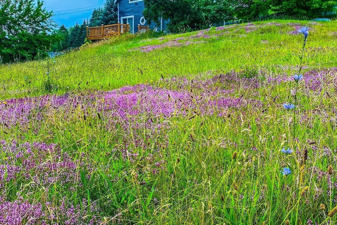 Photo of Outdoor in Ticonderoga