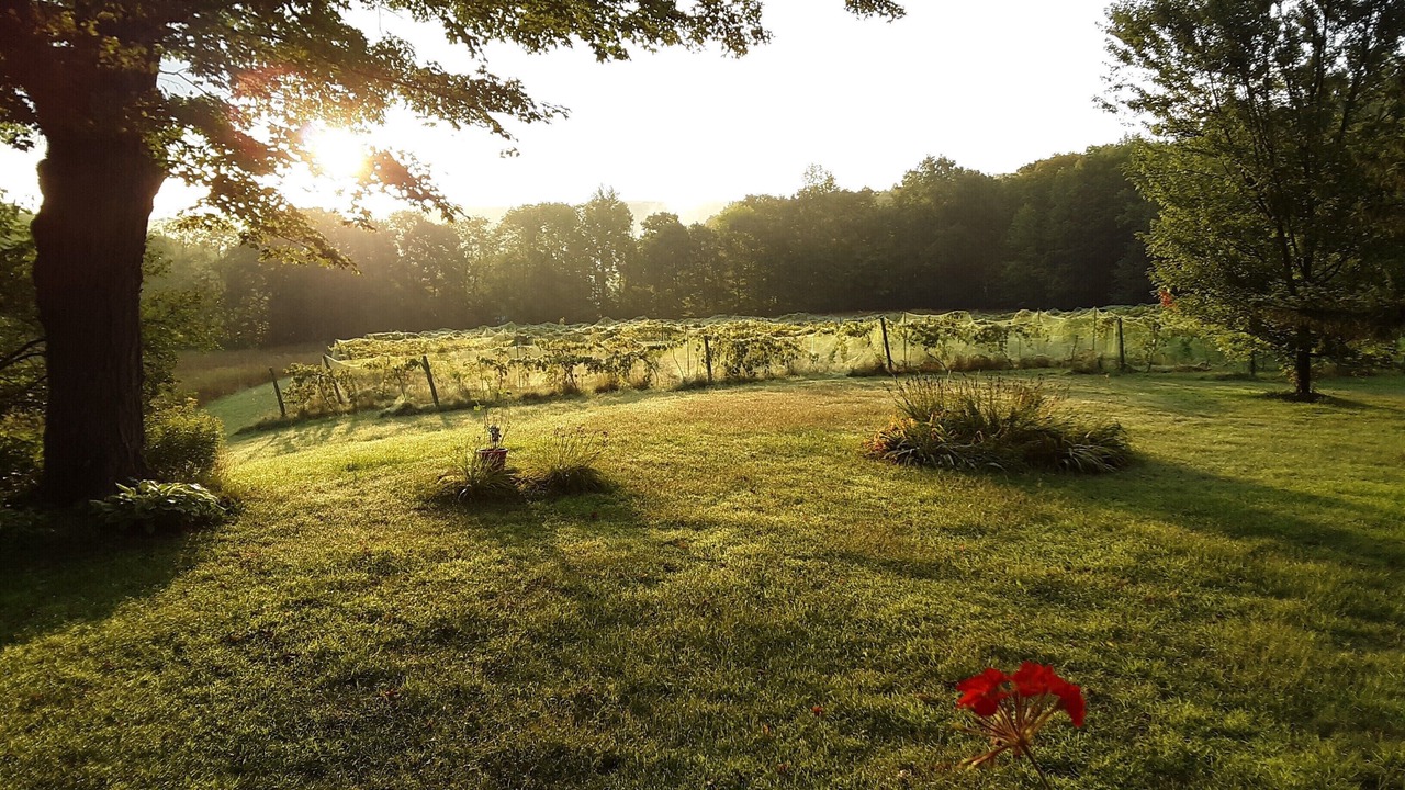 Photo of Outdoor in Woodstock