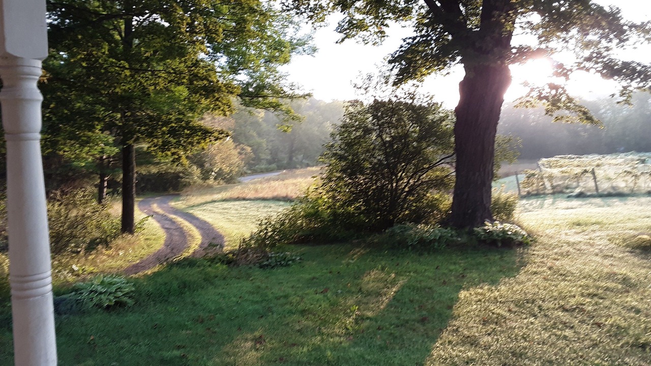 Photo of Outdoor in Woodstock