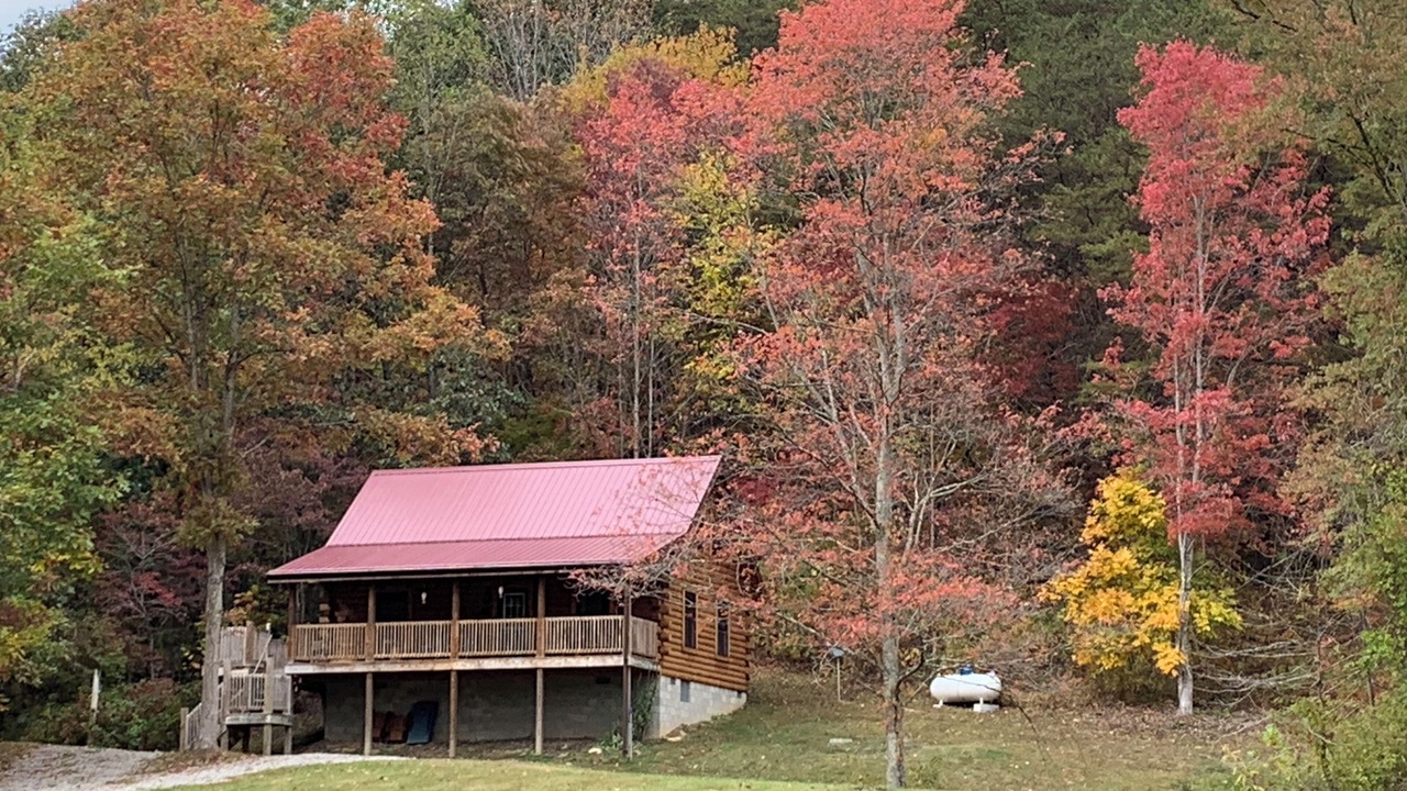 Photo of Outdoor in Beaver