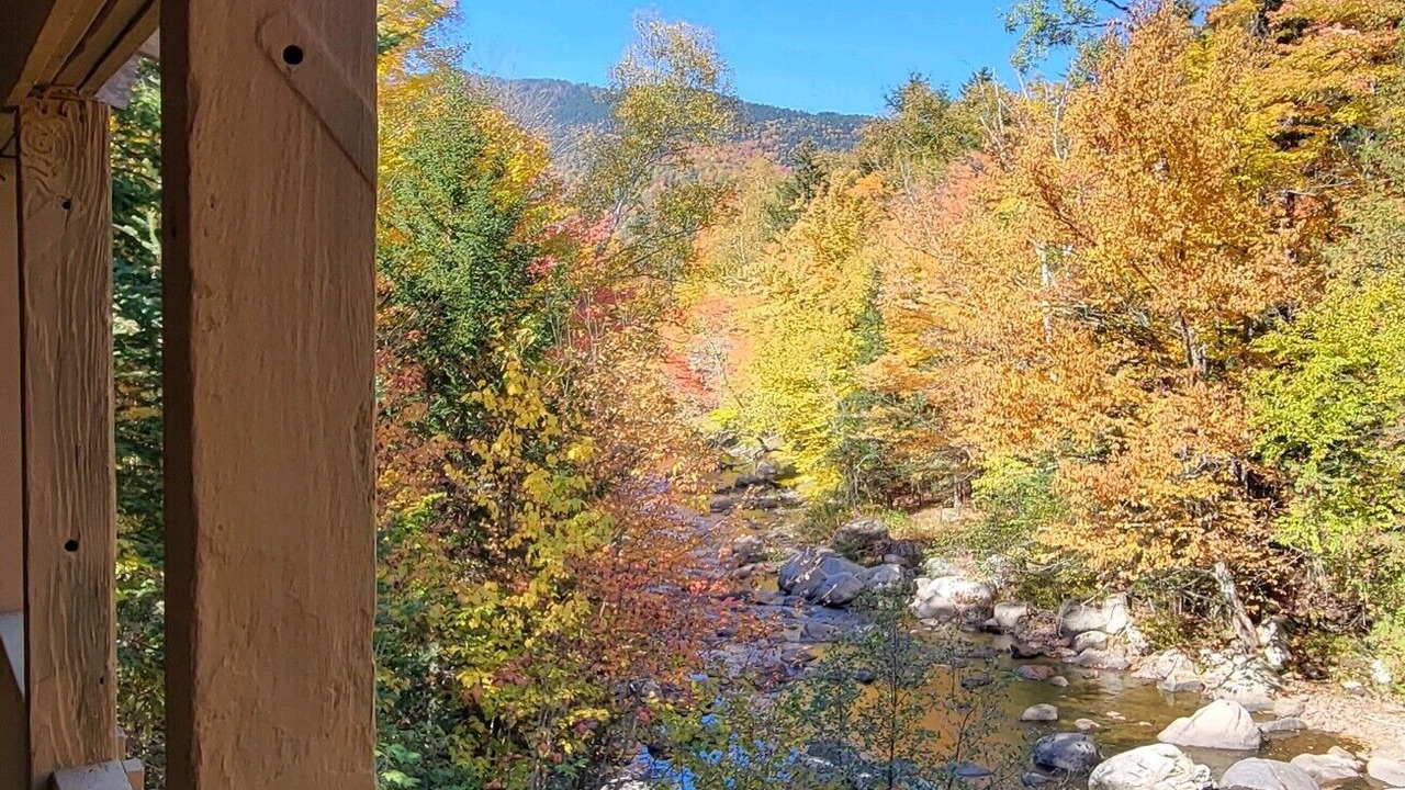 Photo of Outdoor in Columbia