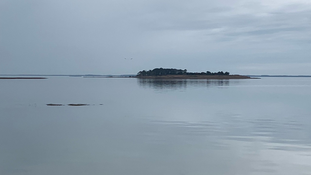 Photo of Others in Ocean Pines