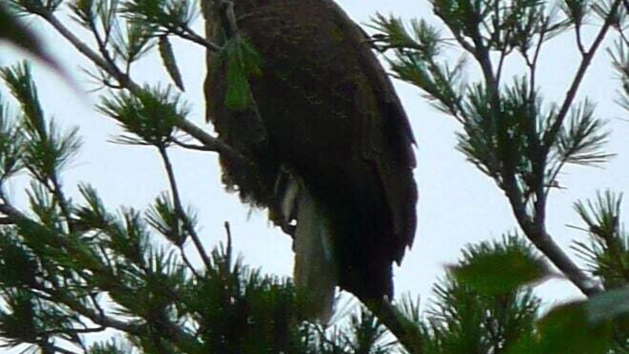 Photo of Others in Monmouth