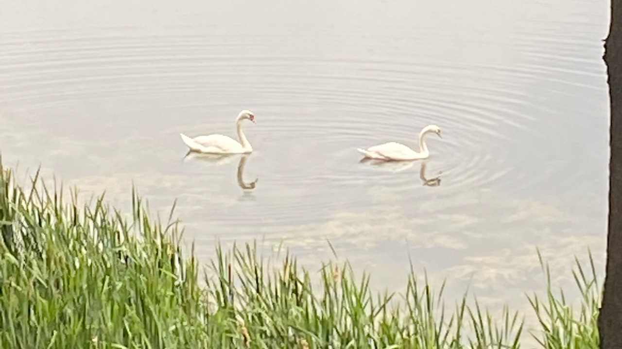 Photo of Others in Valatie