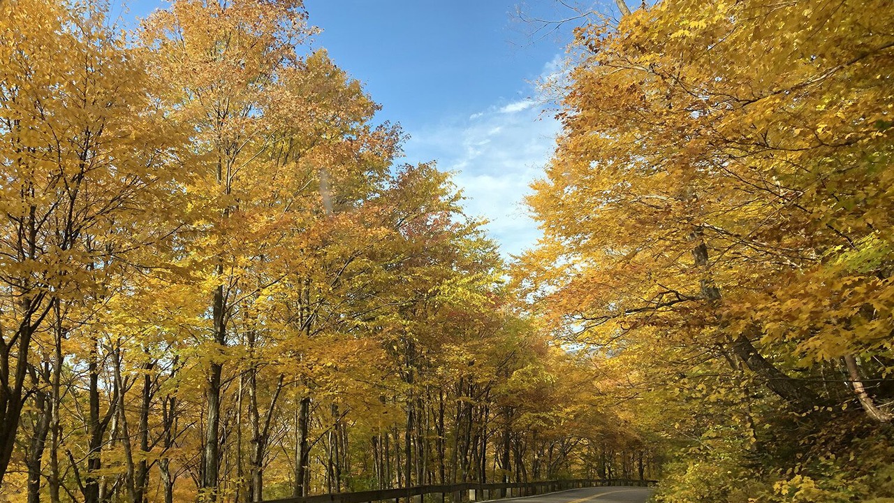 Photo of Others in Stowe