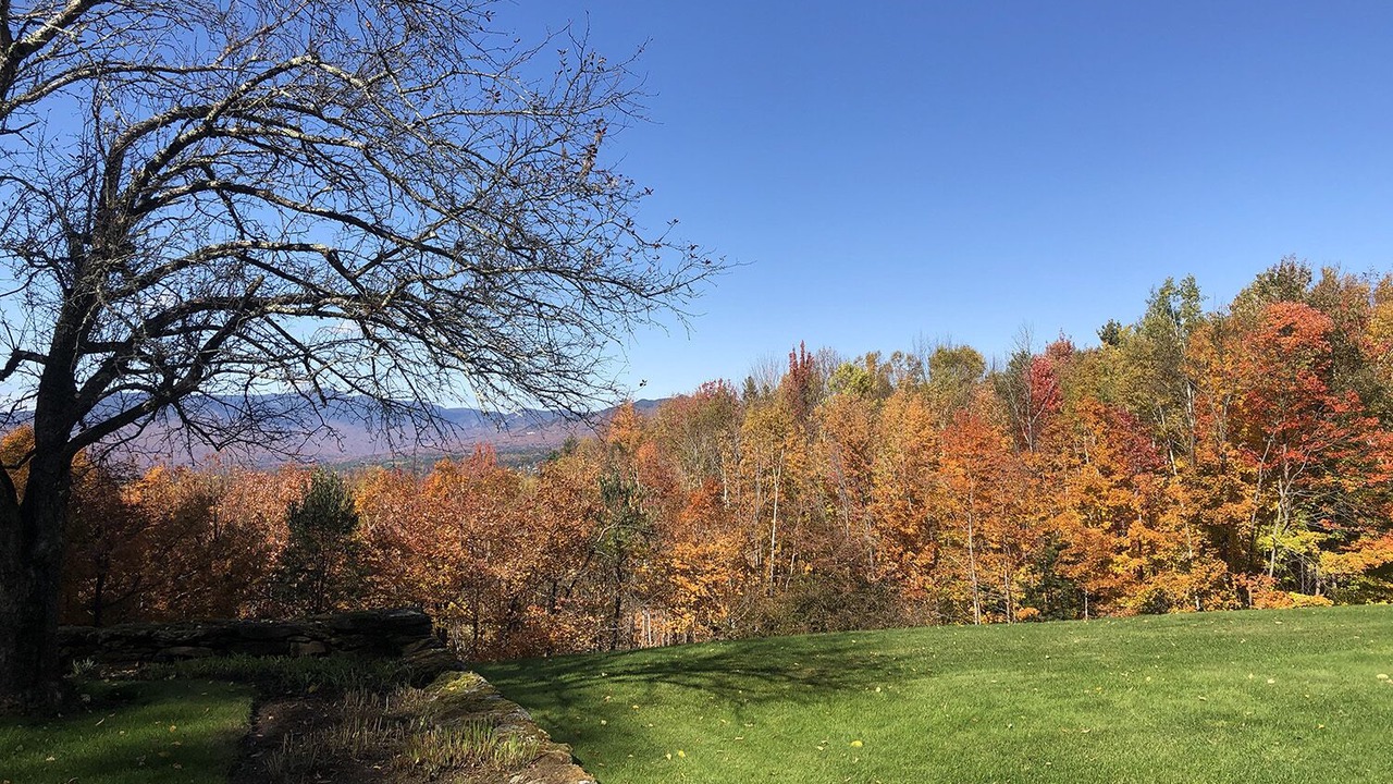 Photo of Others in Stowe