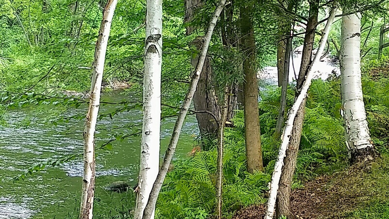 Photo of Others in Upper Village