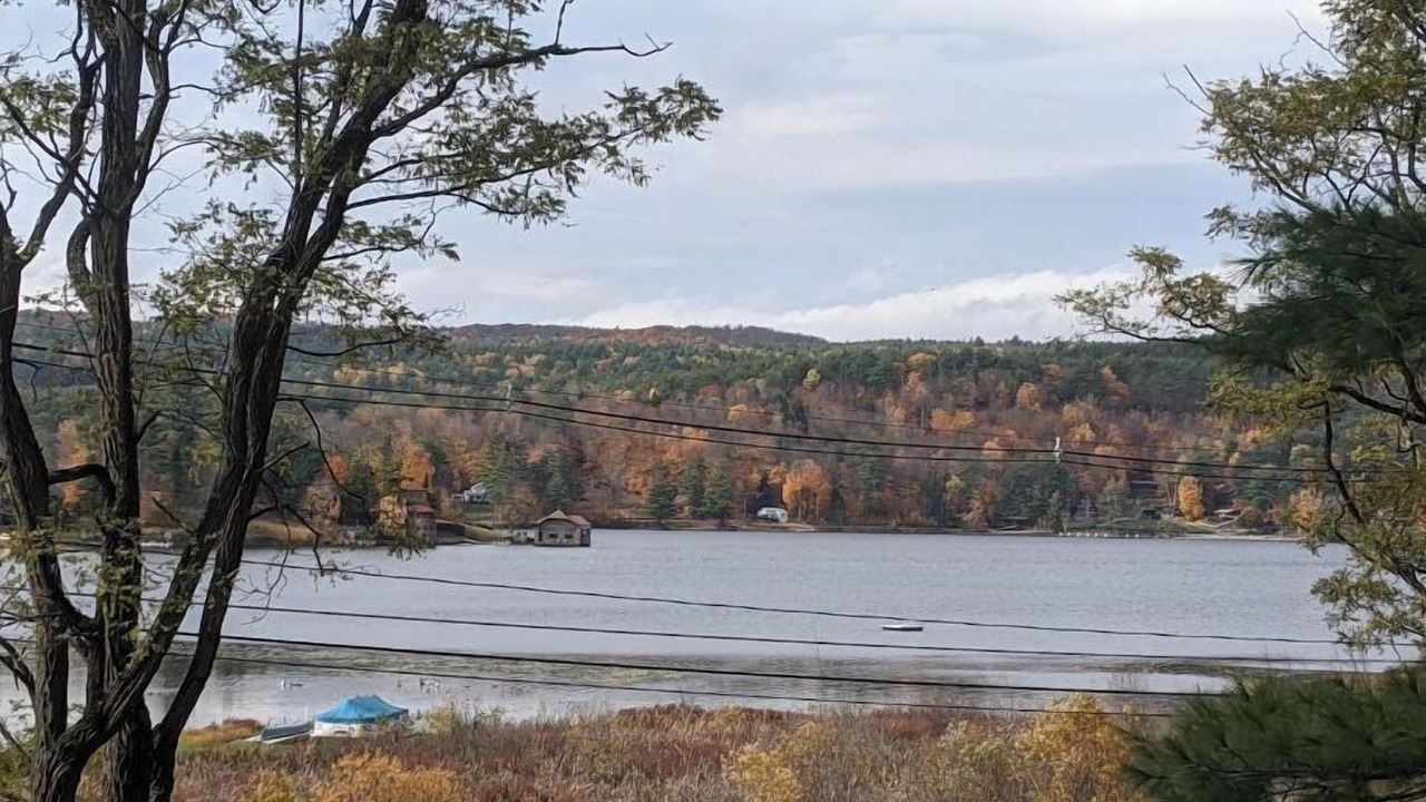 Photo of Others in Brant Lake